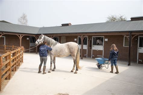 Manor farm Livery Stables